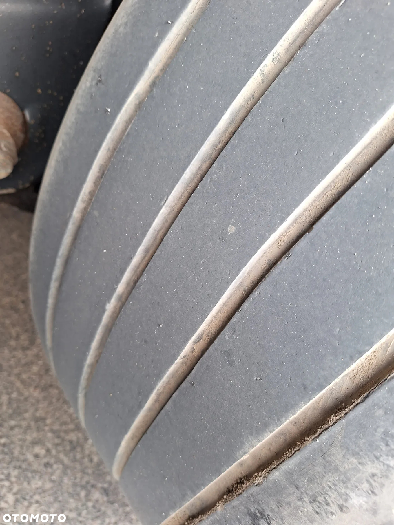 Kögel FIRANKA STANDARD SAF INTRAX TARCZA COIL MULDA - 19