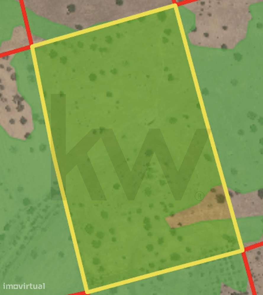 TERRENO RÚSTICO EM SERPA  COM 7,6250 HA - Grande imagem: 2/3