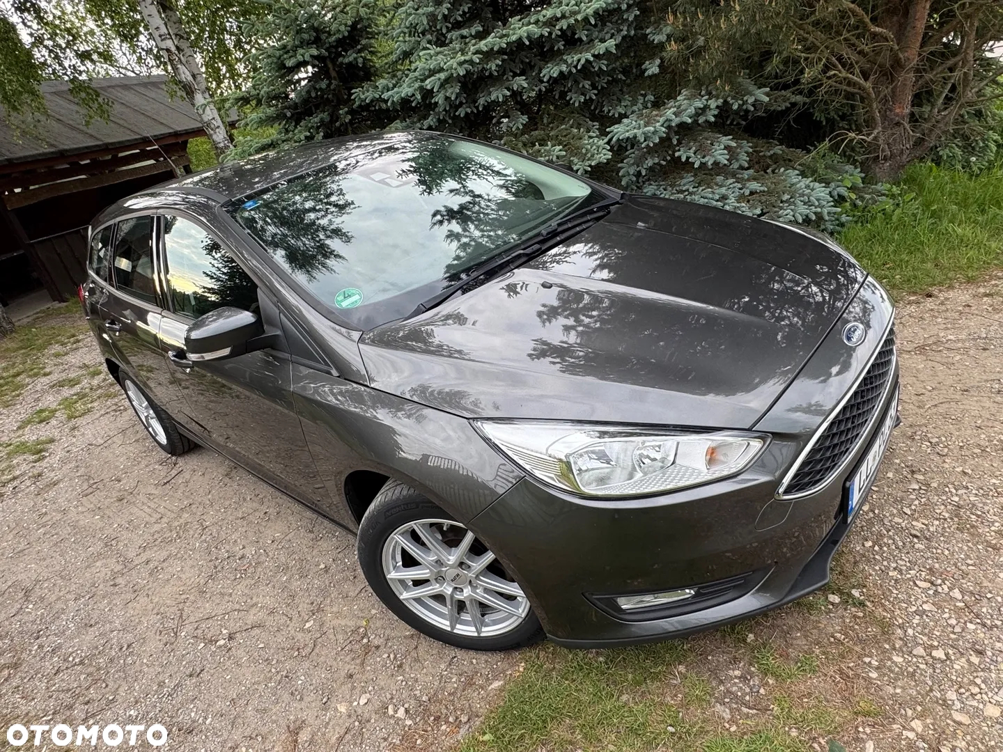 Ford Focus - 25