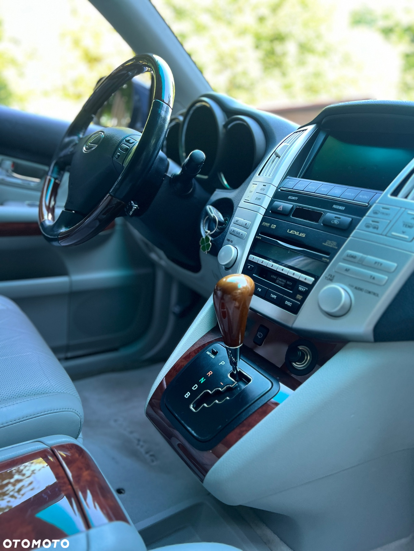 Lexus RX - 29