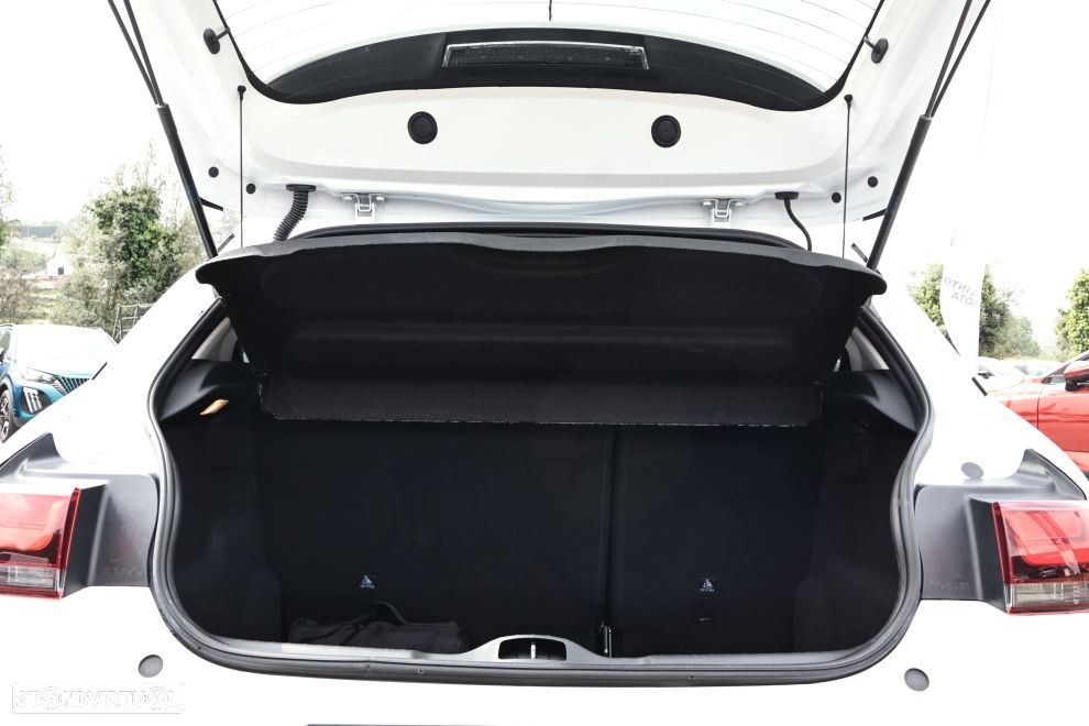 Citroën C4 Cactus 1.5 BlueHDi Shine - 19