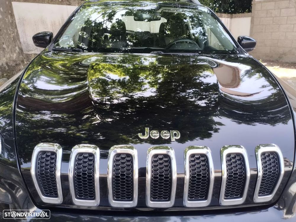 Jeep Cherokee 2.0 MJD Longitude - 11