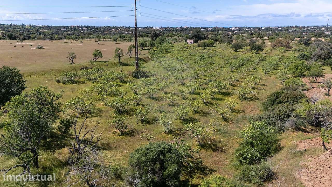 Terreno  para venda - Grande imagem: 4/8