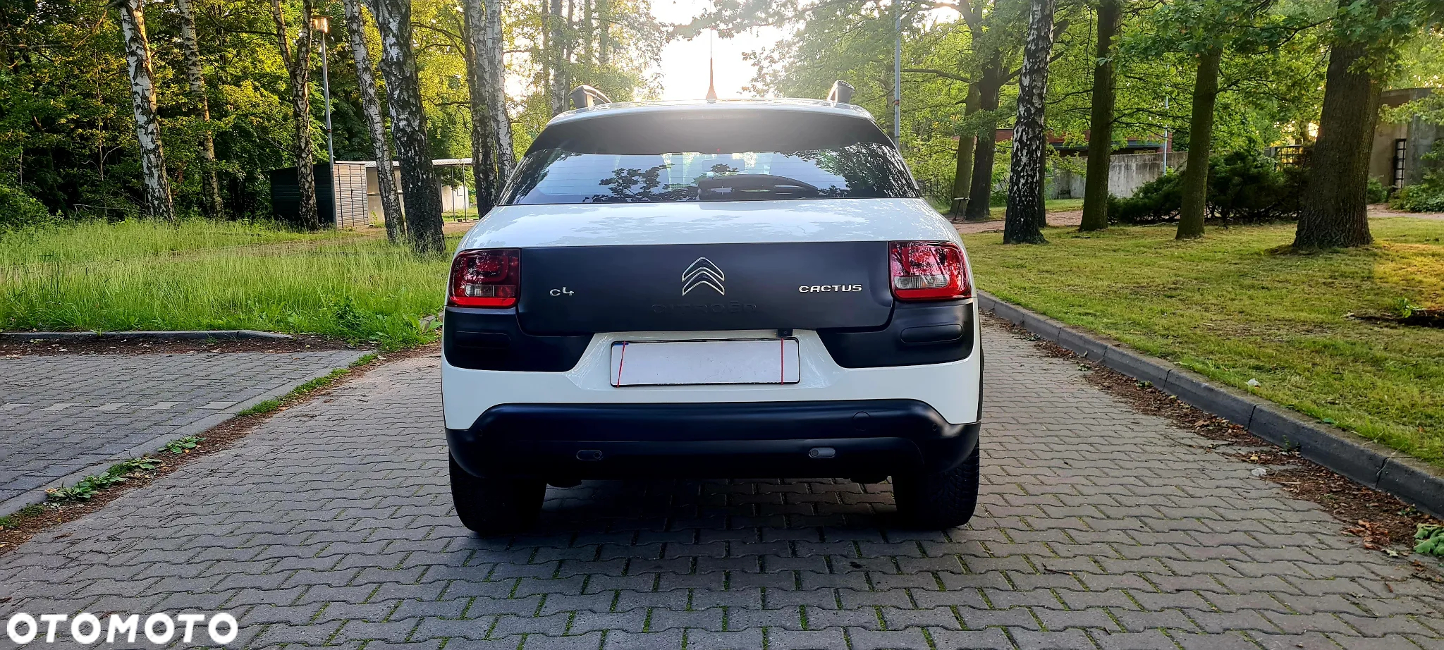 Citroën C4 Cactus 1.2 PureTech GPF Shine Pack S&S - 6