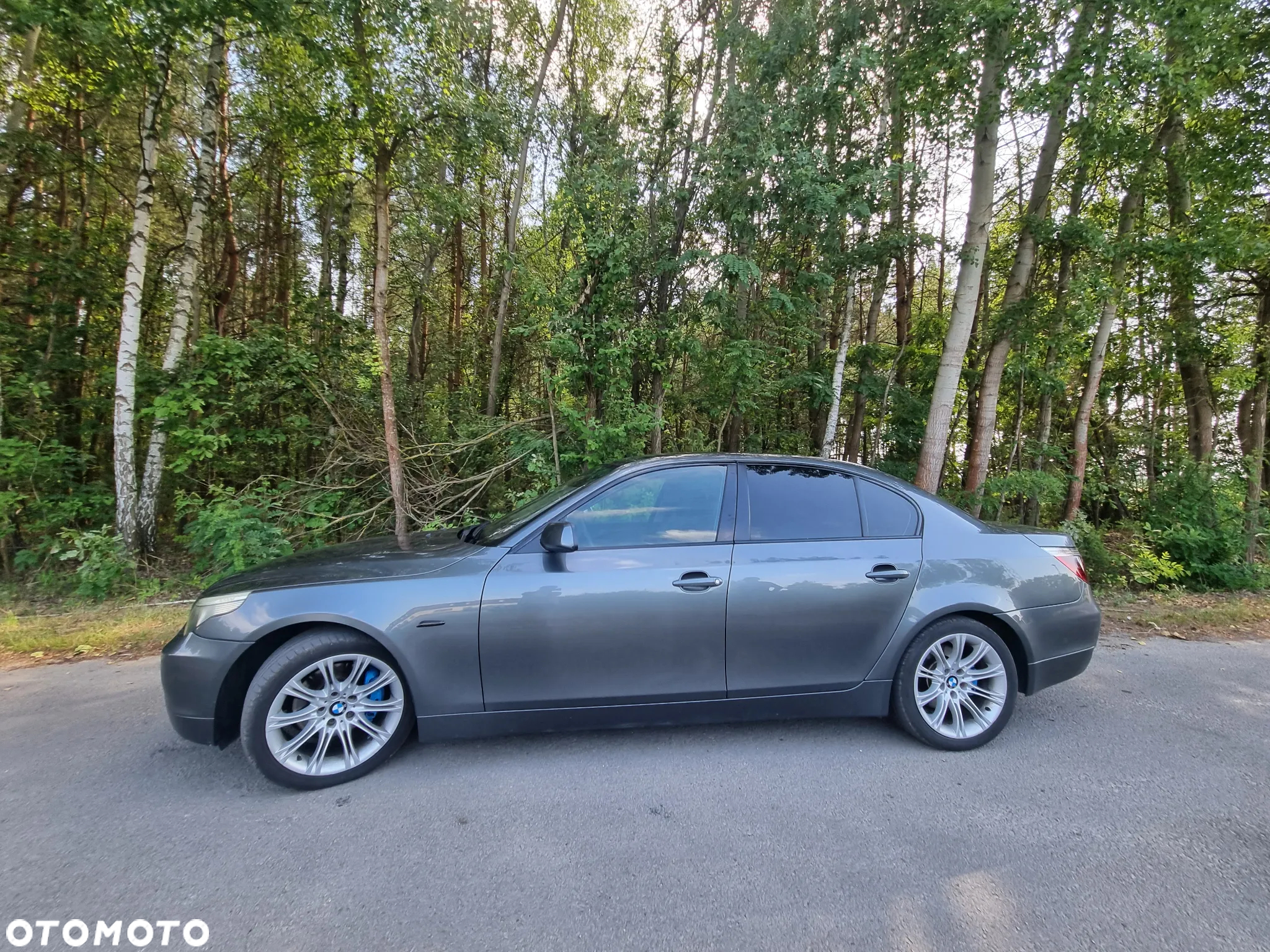 BMW Seria 5 - 6