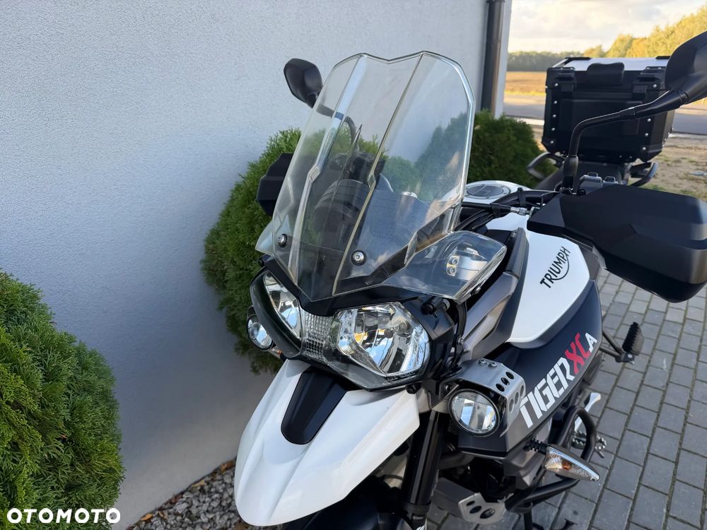 Triumph Tiger - 35