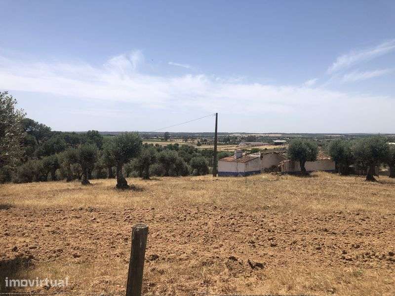 Terreno em Motrinos - Monsaraz - Grande imagem: 3/3