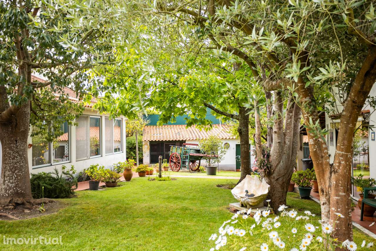 Moradia Independente em Cadaval - Pêro Moniz - Grande imagem: 4/43