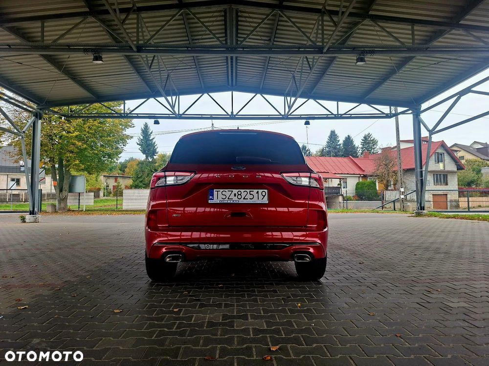 Ford Kuga 2.0 EcoBlue AWD ST-Line - 19