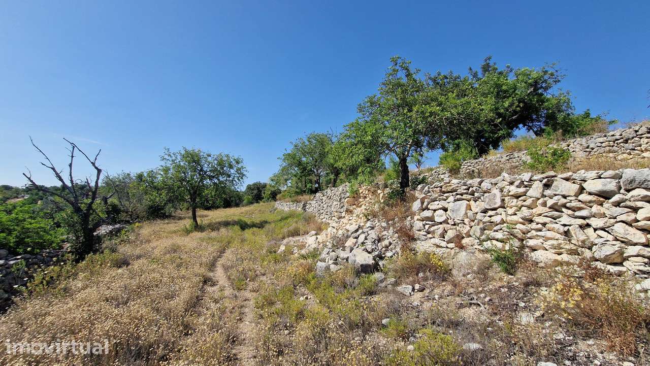 Terreno, 2 630 m², Boliqueime - Grande imagem: 3/17