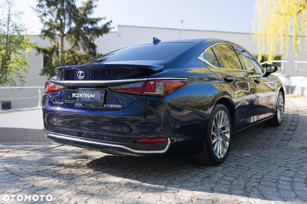 Lexus ES 300h Omotenashi - 6