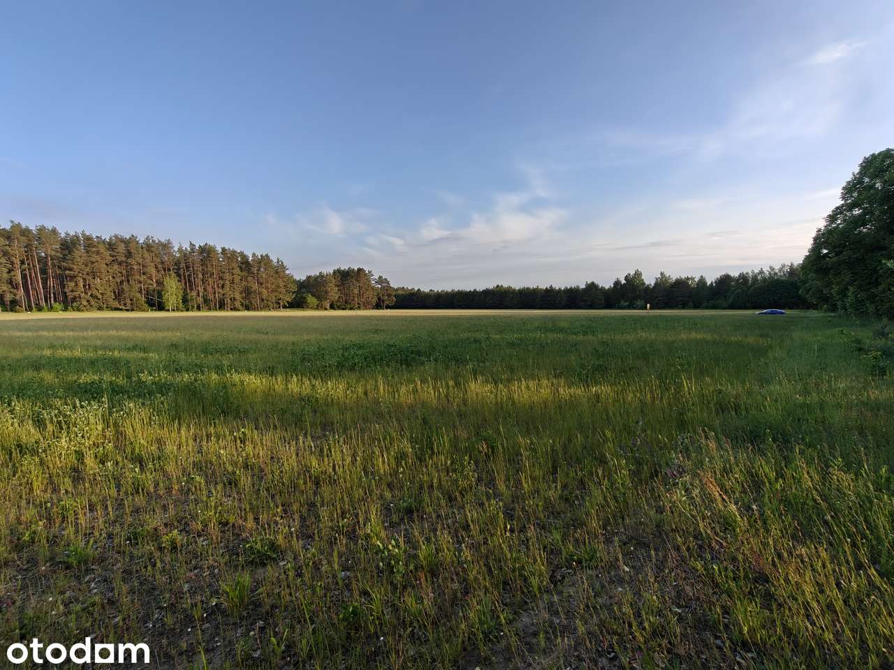 Działka rolna na Mazurach o pow. 0,30 ha - Pełny obrazek: 4/11