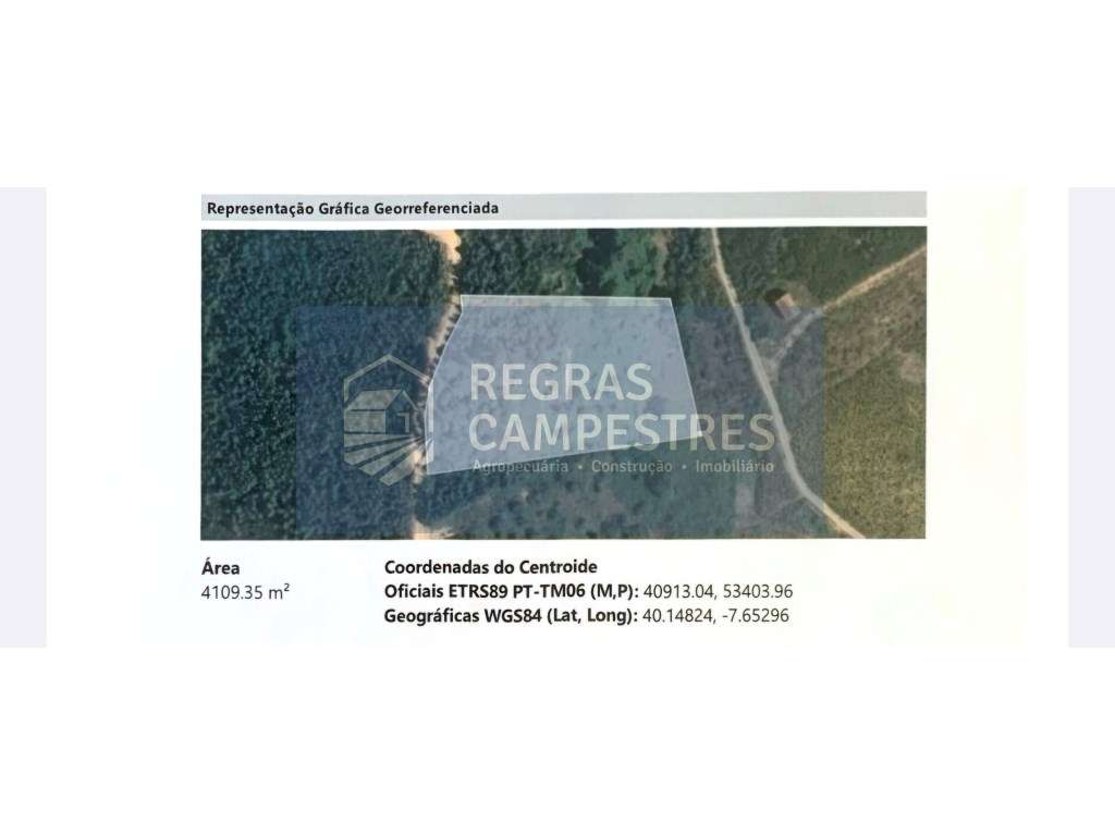 TERRENO RÚSTICO (FLORESTAL) 
SILVARES - FUNDÃO - Grande imagem: 4/4