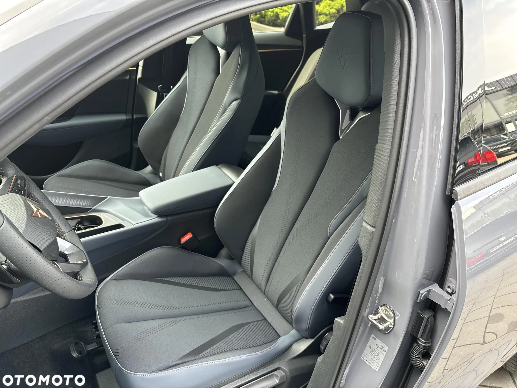 Cupra Terramar - 10