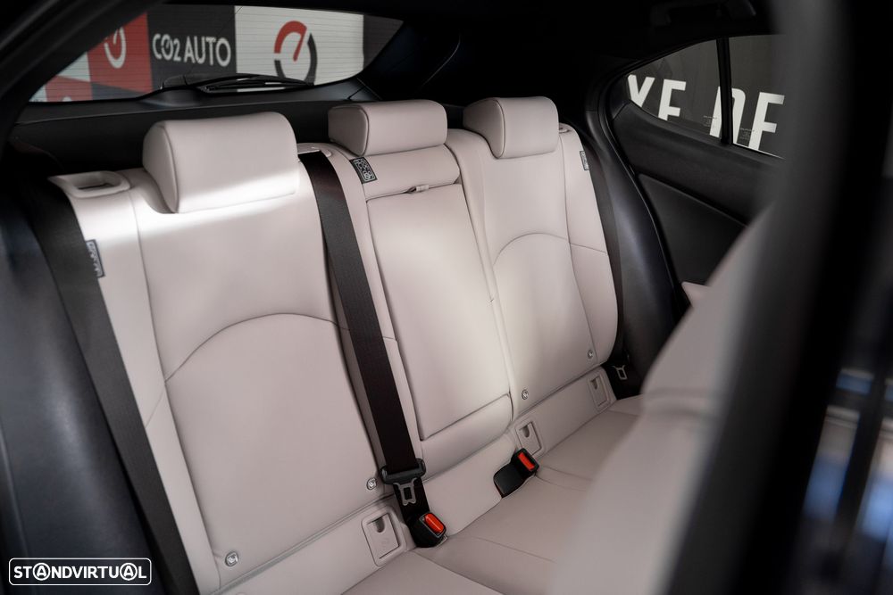 Lexus UX 250h F Sport - 29