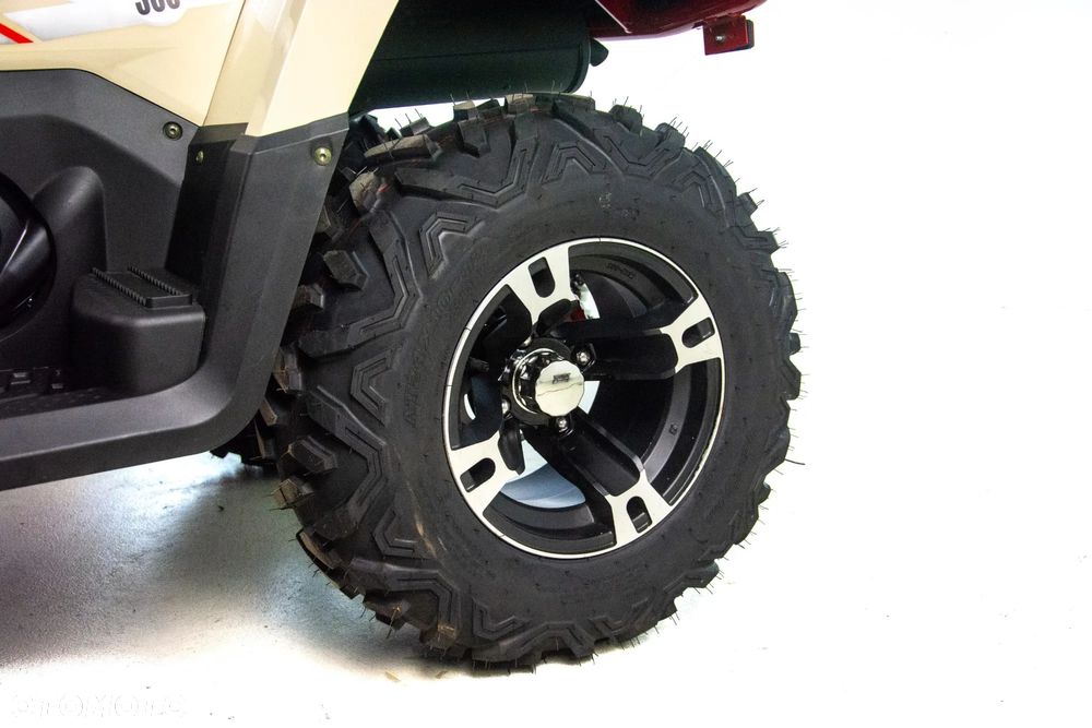 ASIX Challanger 300 - 25