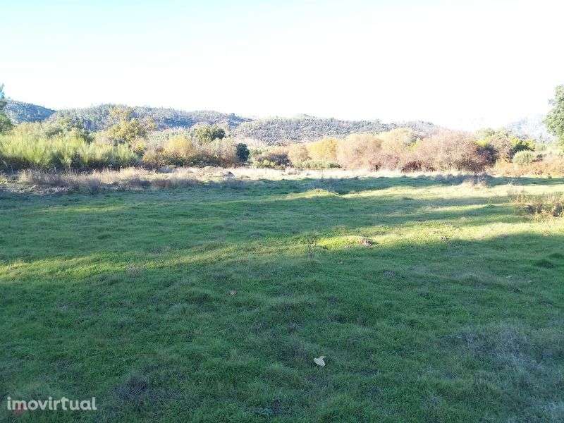 Terreno de 1,3 Ha com Ribeiro e Viabilidade de Construção - Grande imagem: 3/11