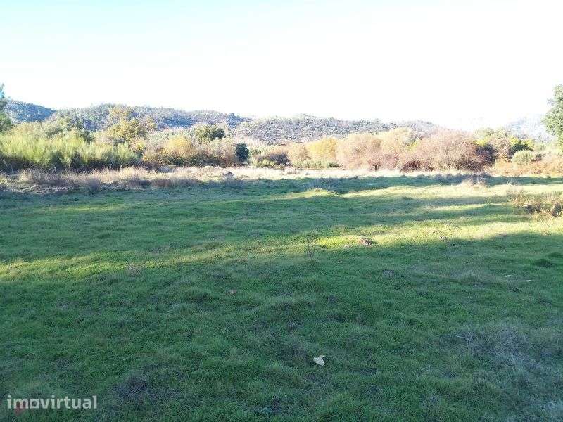 Terreno de 1,3 Ha com Ribeiro e Viabilidade de Construção - Grande imagem: 3/11