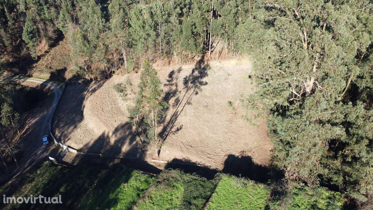 Terreno  Venda em Telões,Amarante - Grande imagem: 3/19