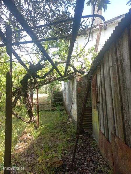 Casa antiga  geminada em plenas minas tuela - Grande imagem: 3/5