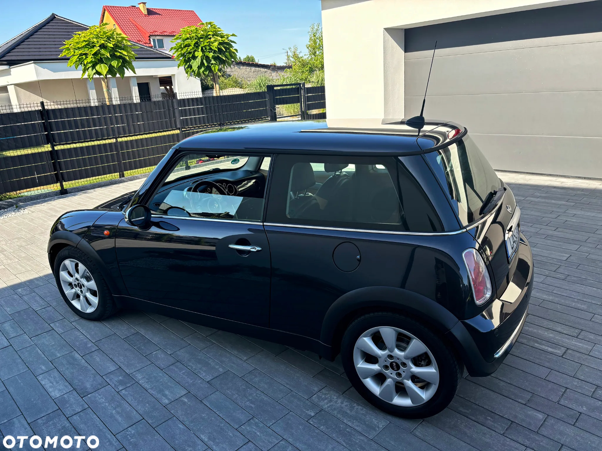 MINI Cooper pepper - 10