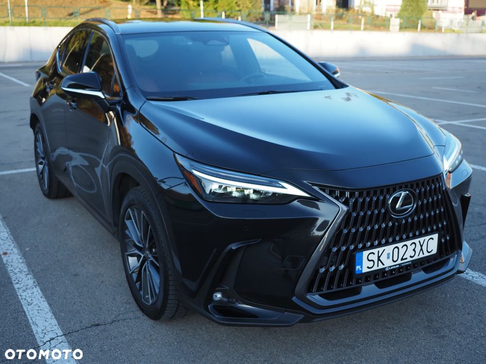Lexus NX - 21