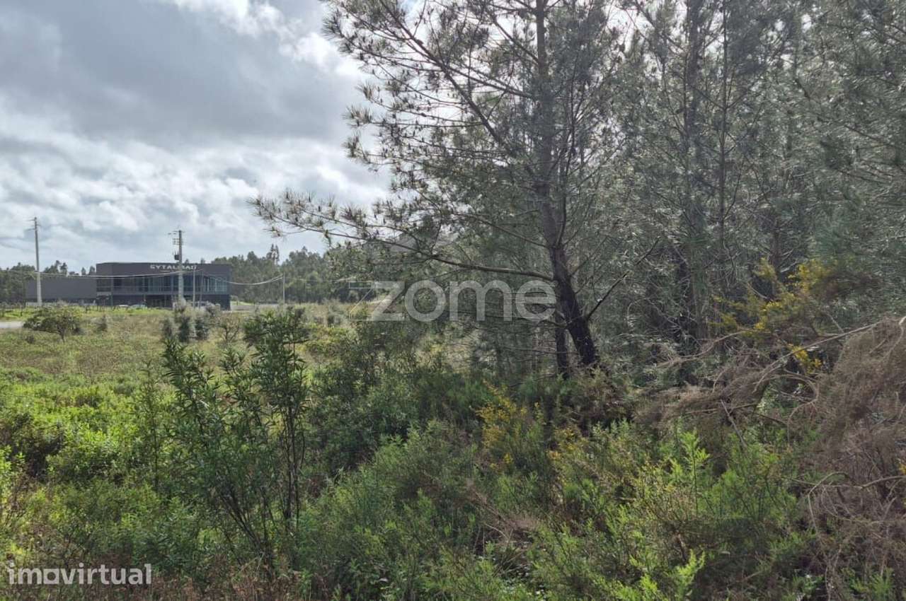 Oportunidade Única: 4.320 m² de Natureza Pura na Abrigada - Grande imagem: 5/56