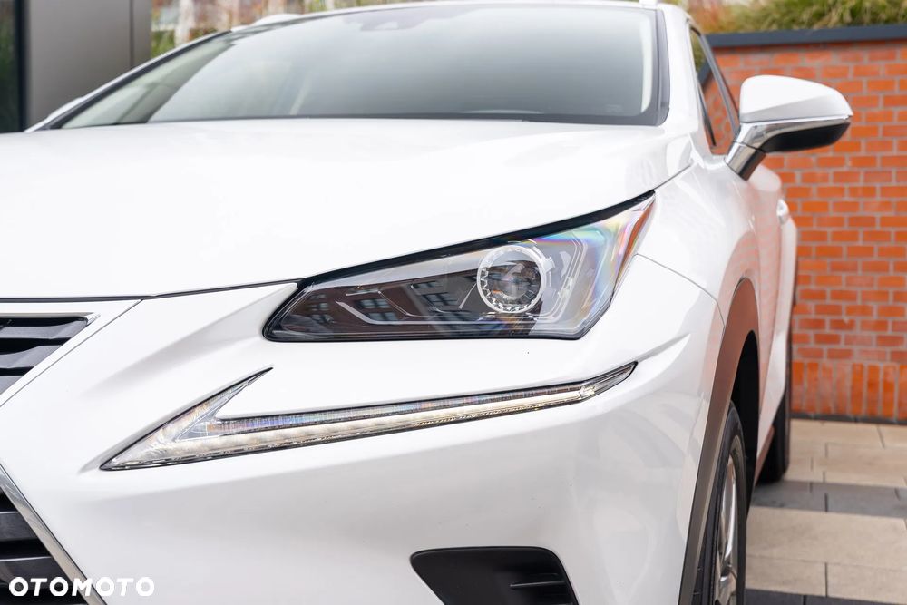 Lexus NX 300h Business Edition AWD - 16