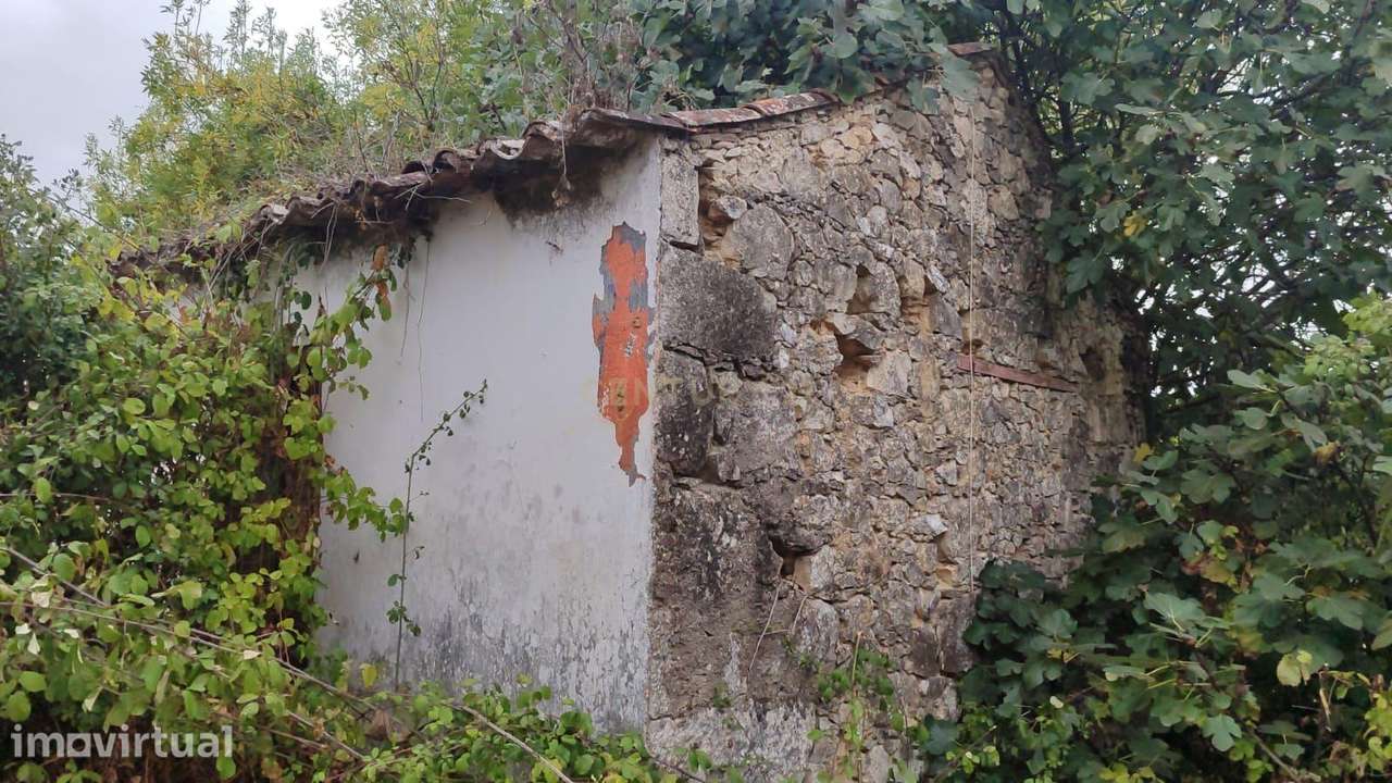Casas antigas para Recuperação, com terreno em São Vicente do Paul, Sa - Grande imagem: 4/22