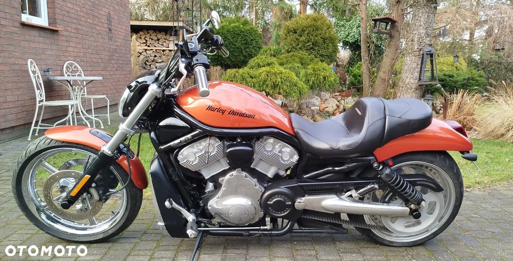 Harley-Davidson Softail V-Rod - 2