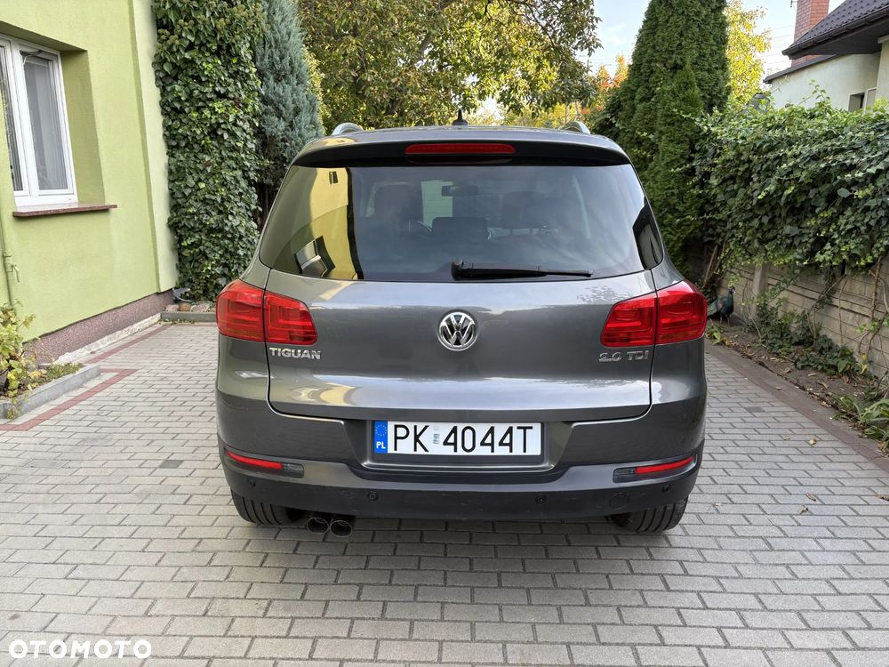 Volkswagen Tiguan - 10