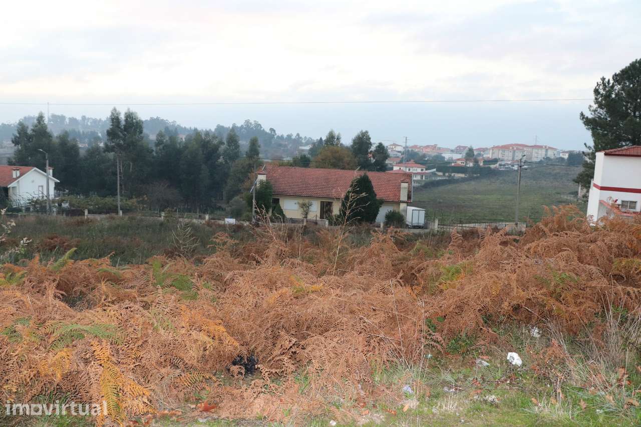 Terreno Para Construção  Venda em Lustosa e Barrosas (Santo Estêvão),L - Grande imagem: 2/14