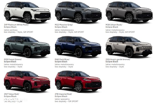 Toyota RAV4 2.5 Plug-In Hybrid Style 4x4 - 11