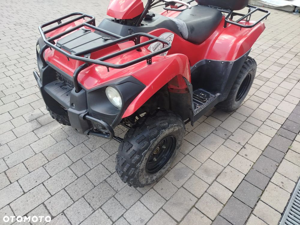 Kawasaki Brute Force - 6
