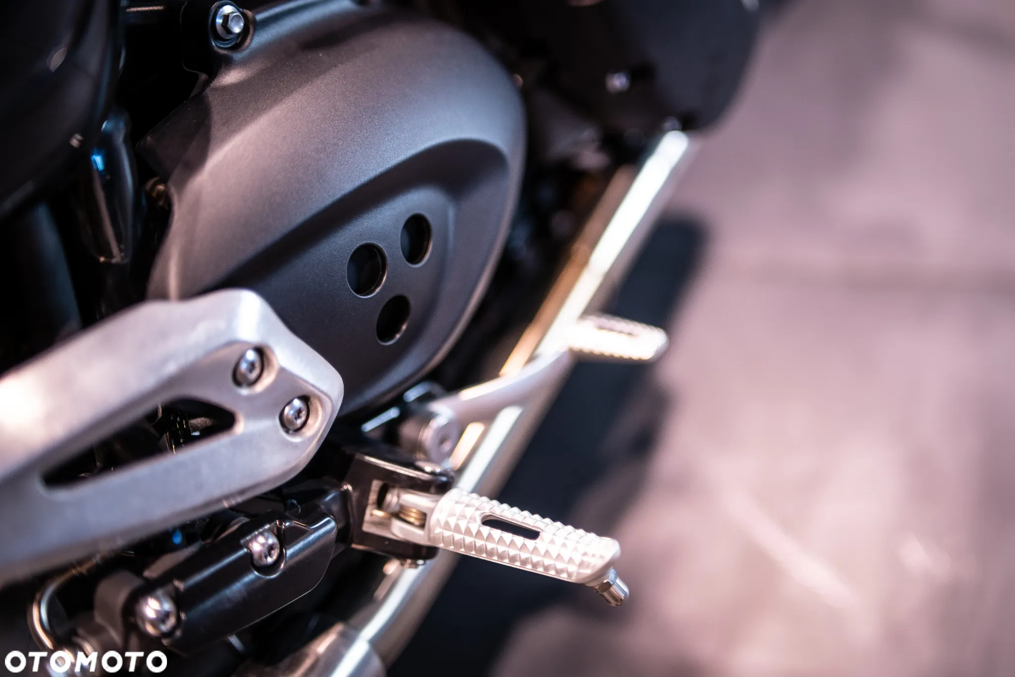 Triumph Speed Twin - 29