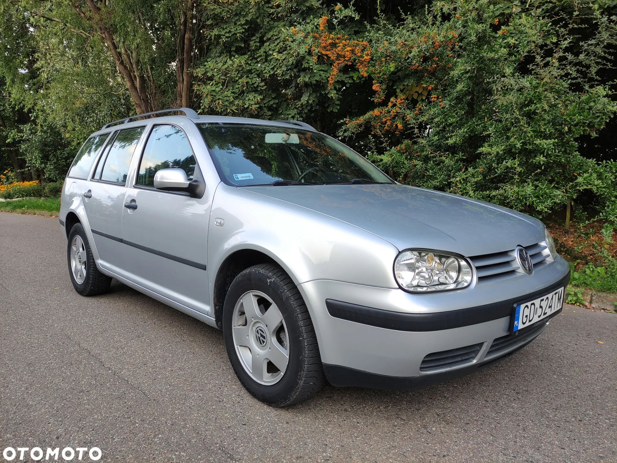 Volkswagen Golf - 1