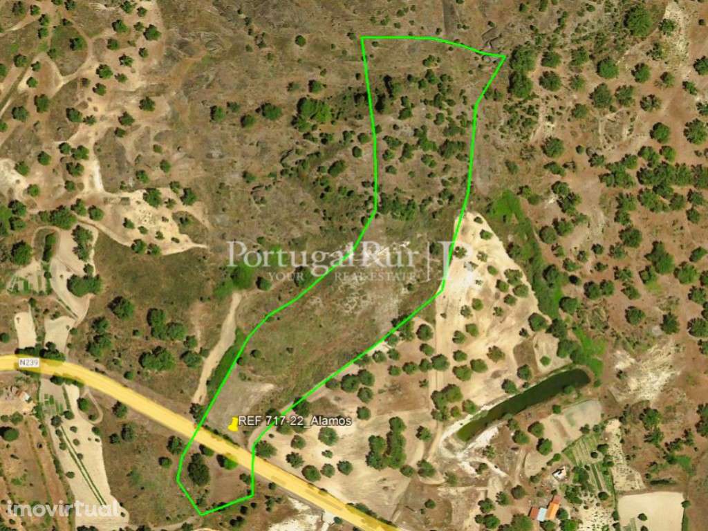 Terreno rústico com 22.760 m² em Monsanto - Grande imagem: 2/6