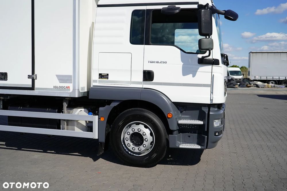 MAN / TGM / 18.250 / EURO 6 / CHŁODNIA + WINDA / ŁAD. 9 010 KG / 19 PALET - 18