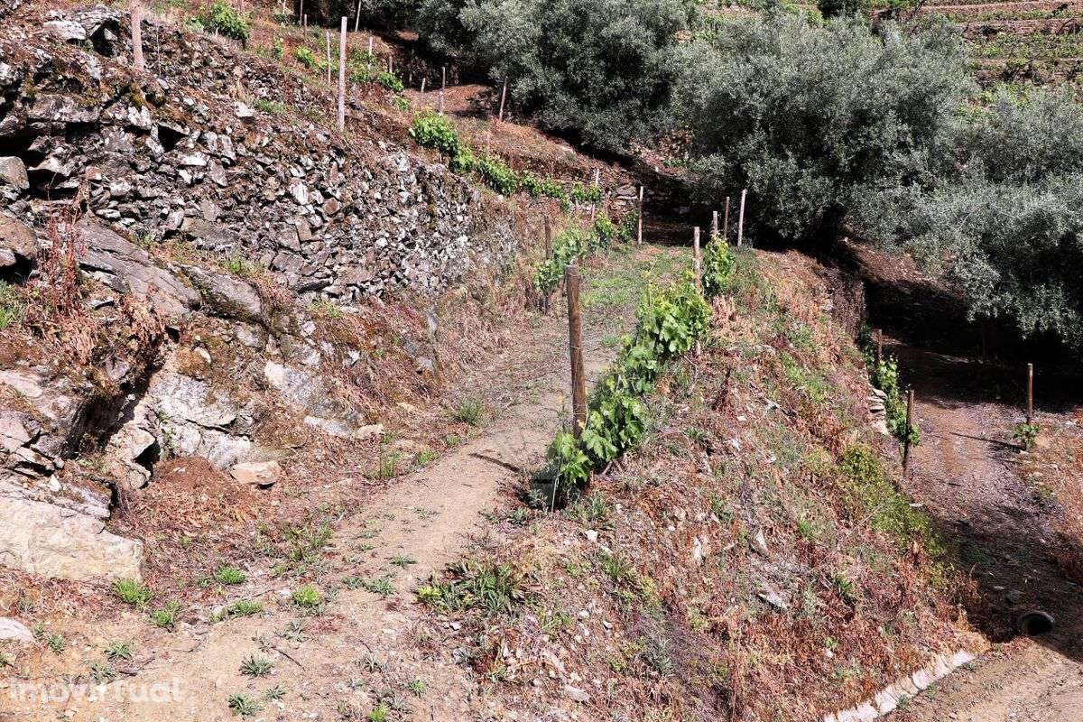 Quinta  para venda - Grande imagem: 3/36