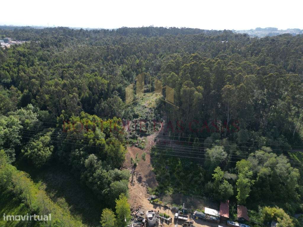 Terreno em Serezedo - Grande imagem: 4/11
