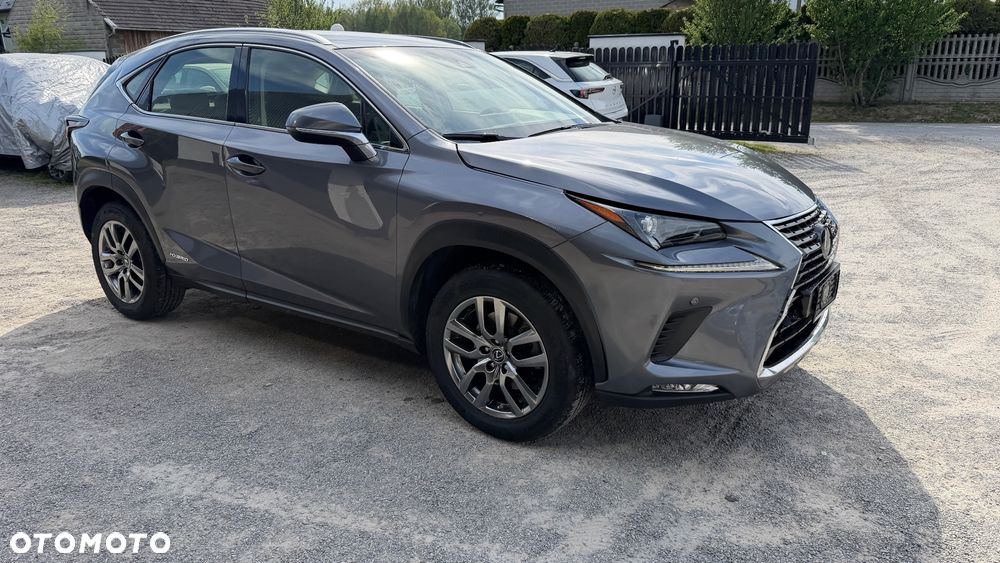 Lexus NX 300 AWD Executive Line - 7