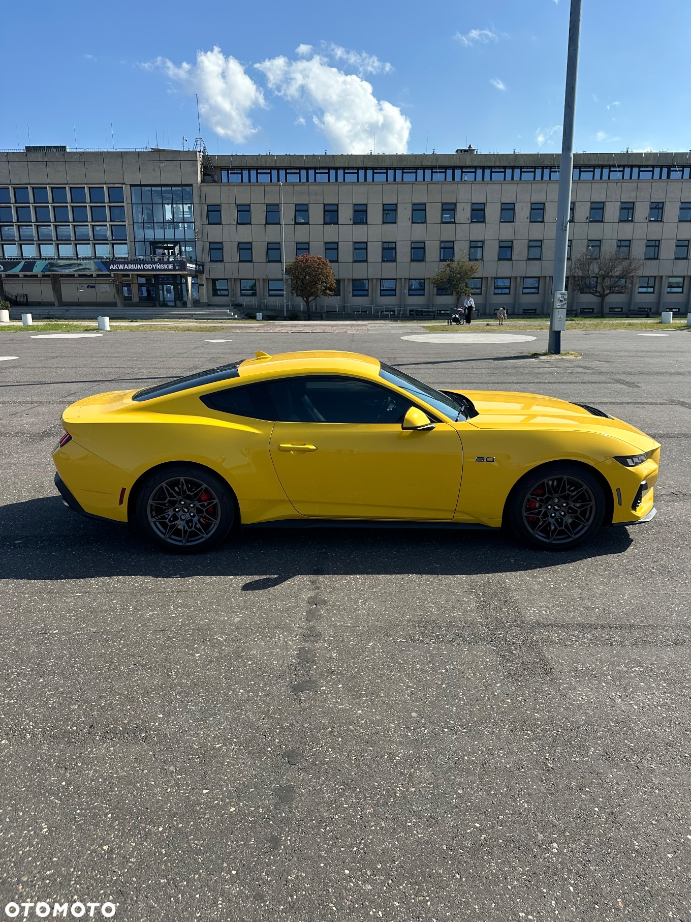 Ford Mustang 5.0 V8 GT - 10