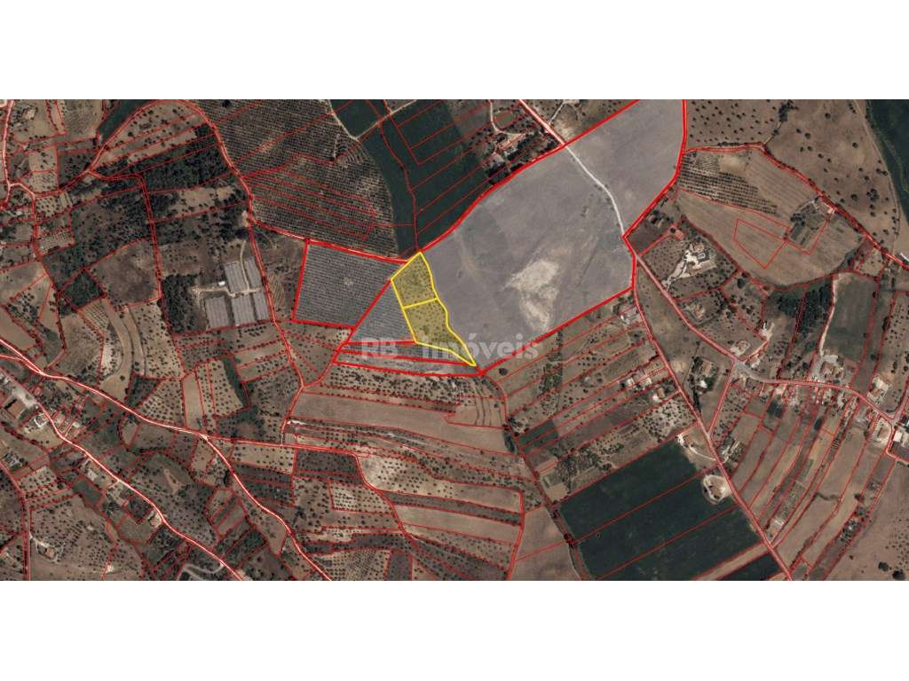 2 Terrenos Rústicos com área total de 14.320 m2, na freguesia de Br... - Grande imagem: 3/5