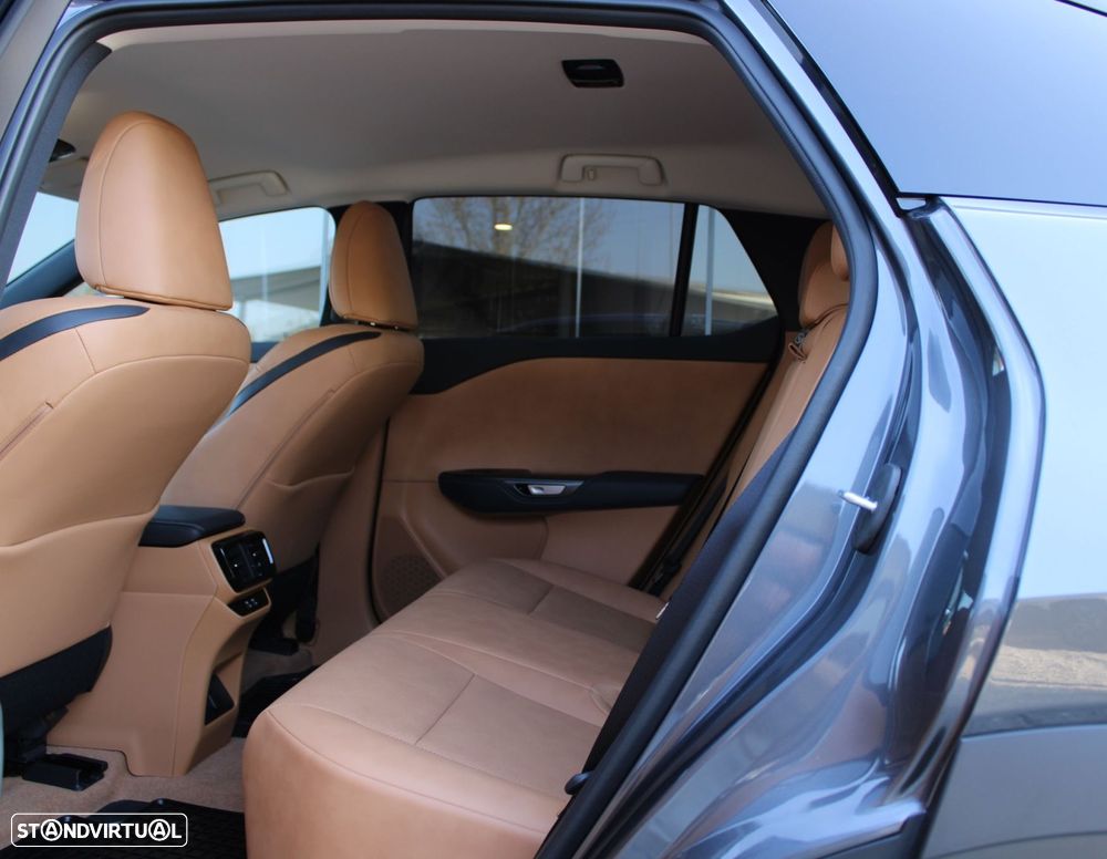 Lexus rz-300e Premium - 12