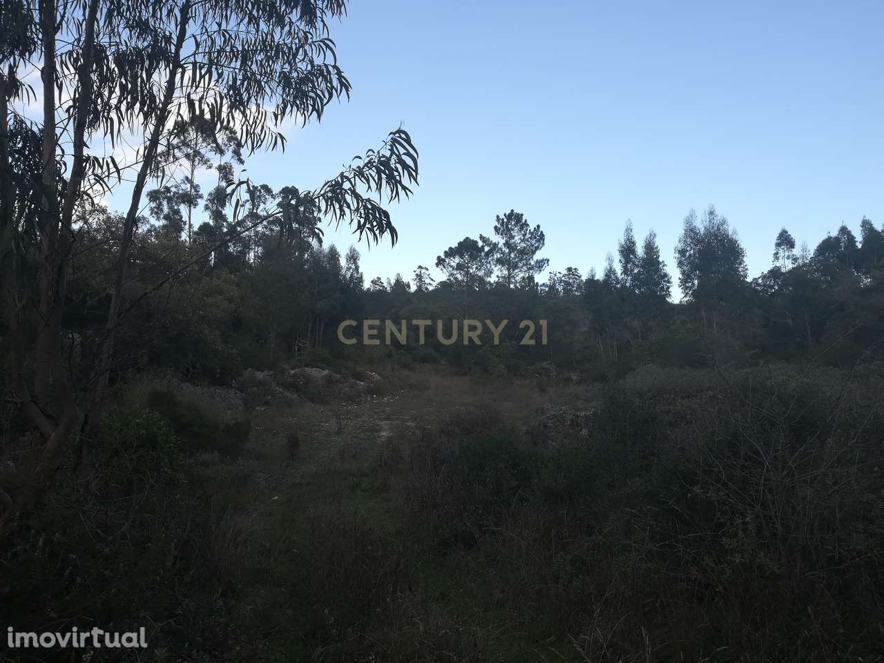 Terreno || Venda - Grande imagem: 4/10