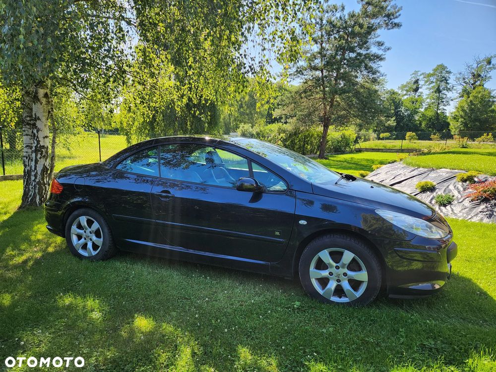 Peugeot 307 - 12