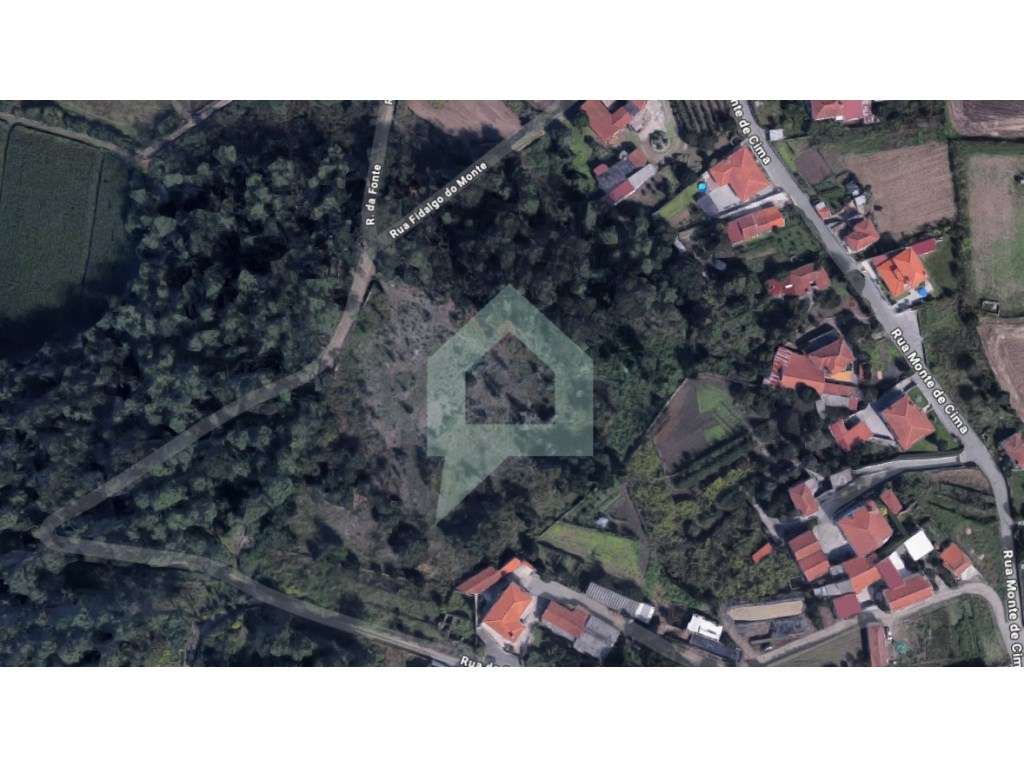 Terreno Rústico (Bouça) - Carvalhal, Barcelos - Grande imagem: 3/5