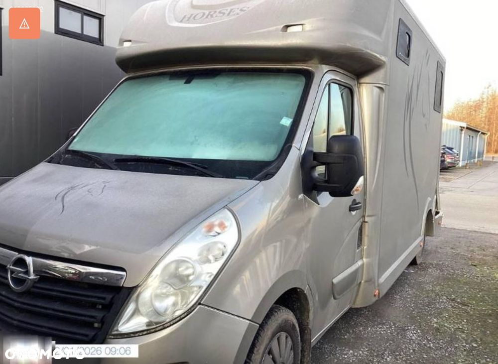 Opel MOVANO Koniowóz