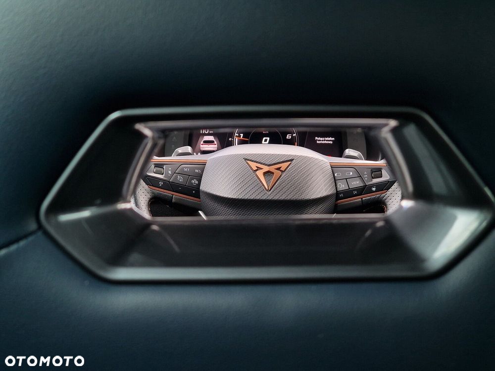 Cupra Formentor 2.0 TSI 4Drive DSG - 22