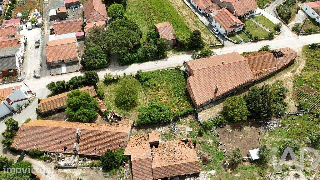 Terreno Agrícola em Rio Maior - Grande imagem: 5/32